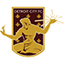 Детройт Сити
