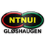НТНУИ