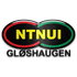 НТНУИ
