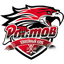 ХК Ростов
