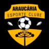 Араукария U20