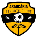 Араукария U20