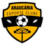 Араукария U20