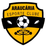 Араукария U20