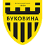 Буковина Черновцы