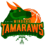 Миндоро Тамаравс