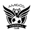 Амигос ФК