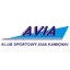 Авиа Камёнки