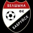 Белшина Бобруйск