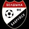 Белшина Бобруйск
