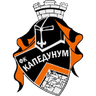 ФК Капедунум Ужице