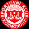СК Космоновы