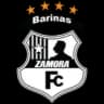 Самора