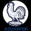 Козаспорт