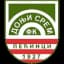 ФК Донйи Срем Пецини