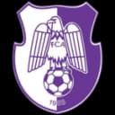 Арджеш