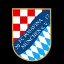 ФК Посавина Мюнхен