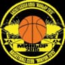 Миньор 2015