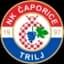 НК Чапорице Триль U17