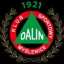 Далин Мышленице