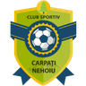 СК Карпаты Нехою