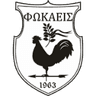 АС Ираклис Неас Фокеас