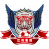 Jiangxi Dark Horse Junior
