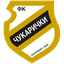 ФК Чукарички U19