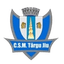 ЦСМ Тыргу-Жиу