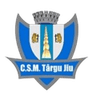 ЦСМ Тыргу-Жиу