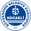 Коджаэли Кагытспор