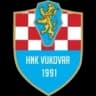 HNK Вуковар 1991