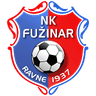 Фужинар U19
