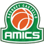 Амикс Кастельо