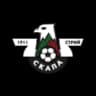 ФК Скаала 1911 Стрый