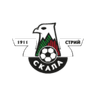 ФК Скаала 1911 Стрый