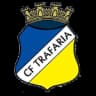 Трафария