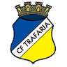 Трафария