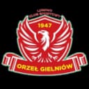 ЛКС Орел Гельниув