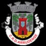КРД Арруденсе