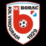 НК Борац Кнежеви Виногради