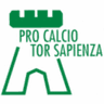 Про Кальчо Тор Сапиенца