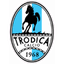 Тродика