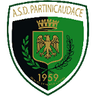 Партиникаудаче