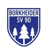 Боркайдер СВ 1990