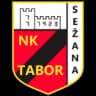 НК Табор Сежана