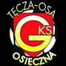 Тęча Оса-Осечна