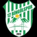 12 Бингёльспор