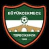 Буюкчекмедже Тепеджикспор