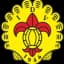 ИД Виейренсе U15